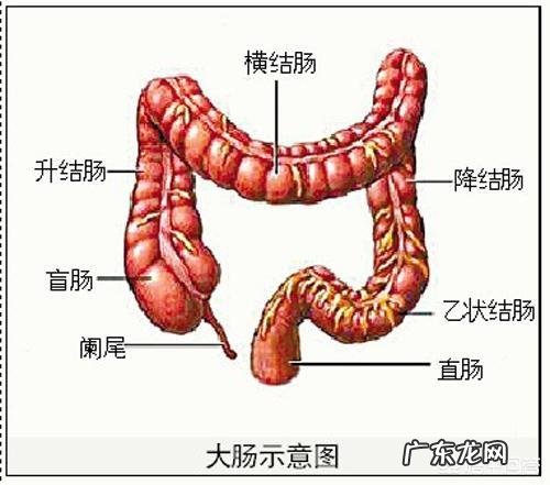 肠癌被发现就是晚期吗？有哪些症状显示？