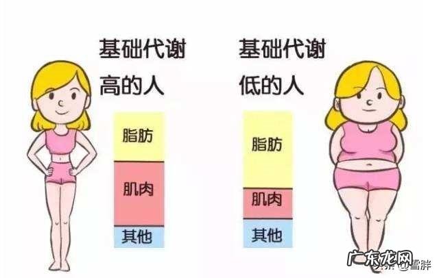 每天只吃一顿饭,早晚各跑一个小时,体重不怎么降怎么办