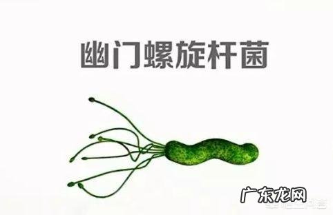 幽门螺杆菌感染,不想转胃癌,最怕的4个“恶习”是什么?