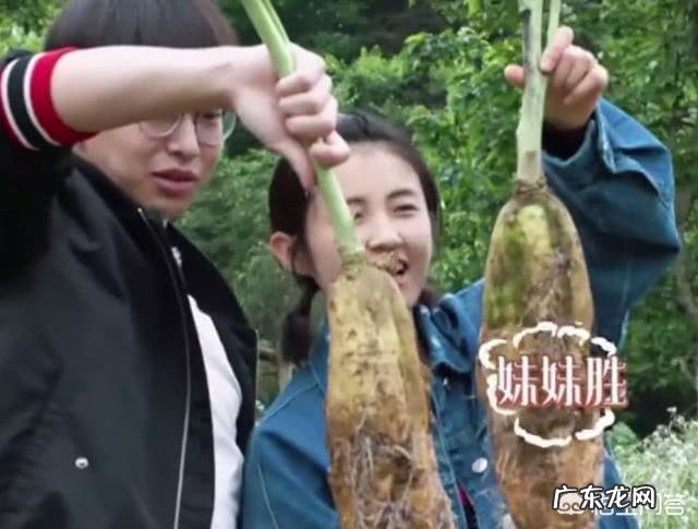 对于罗志祥“多人运动”,你怎么看?