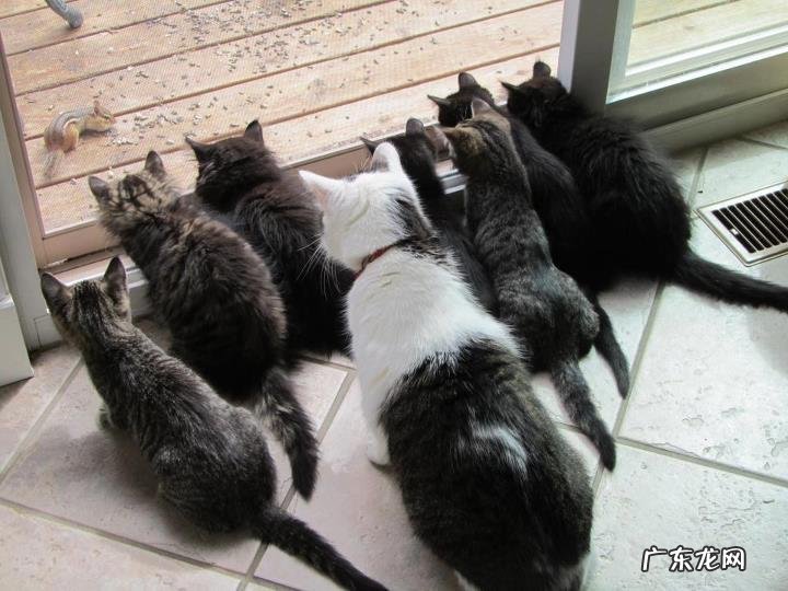 为什么我跳绳后腿明显变粗?