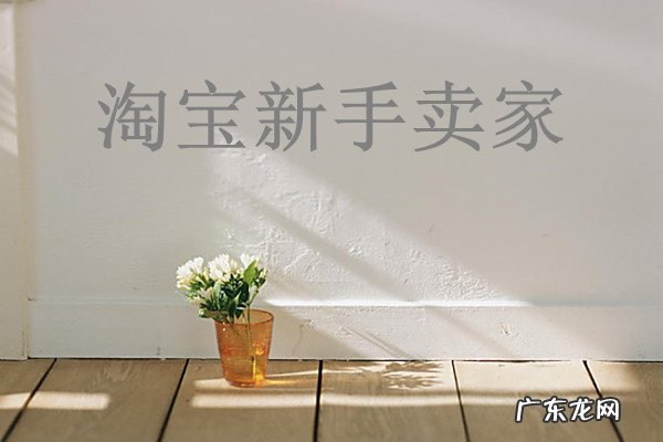 新手卖家怎么做好淘宝?有什么经验技巧?