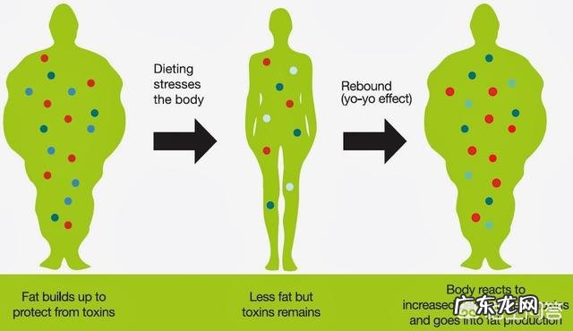 节食减肥后重新吃饭,体重反弹太快应该怎么办