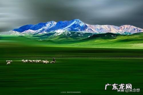 樊登为什么会火是当下大多数人精神文化缺失靠他汲取营养还是