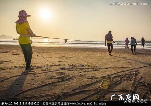 樊登为什么会火是当下大多数人精神文化缺失靠他汲取营养还是