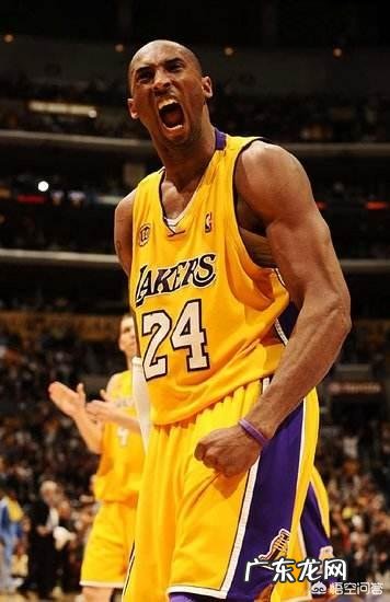 我们常说“有乔选乔，无乔选鲨”，如果乔鲨都没有，那应该选谁？