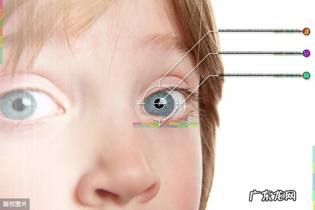 人身上有没有哪个器官是多余的？