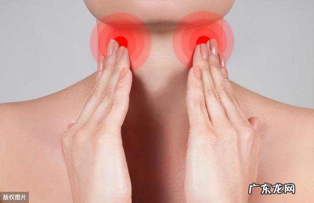 人身上有没有哪个器官是多余的？