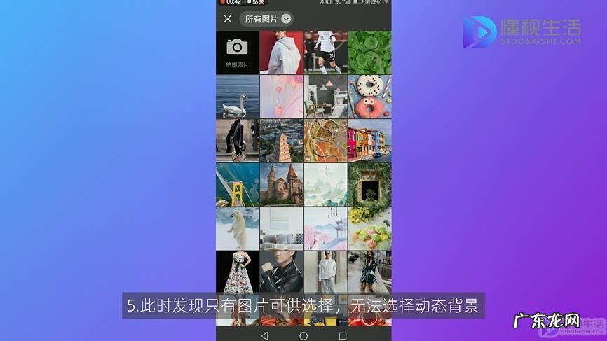 微信新版朋友圈背景动态? 微信朋友圈动态背景怎么设置