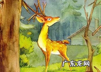 大象找妈妈幼儿故事-幼儿故事小花狗找妈妈