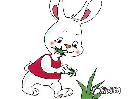 大象找妈妈幼儿故事-幼儿故事小花狗找妈妈