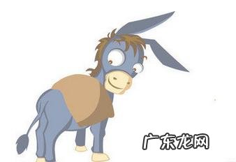 大象找妈妈幼儿故事-幼儿故事小花狗找妈妈