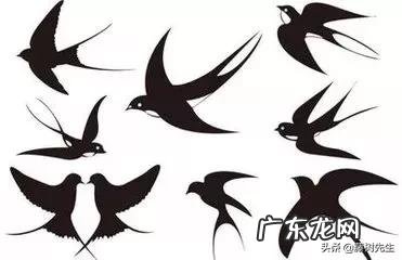 新婚燕尔的燕尔是何意 新婚燕尔的燕尔指的是什么？