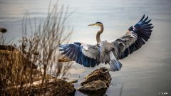 五日瘦身汤怎么买？价钱是多少？