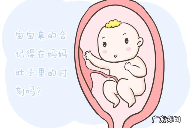 宝宝在肚子里是这样度过的-宝宝在肚子里是这样动的