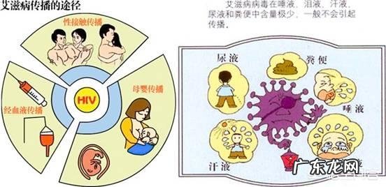 艾滋病zhi疗可以停药吗,停药有什么危害?