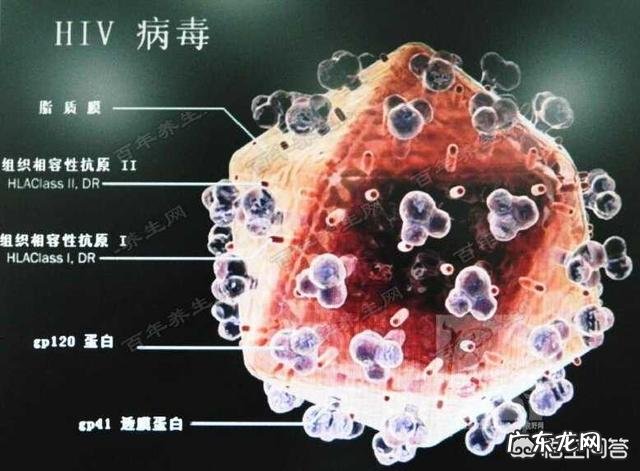 艾滋病zhi疗可以停药吗,停药有什么危害?