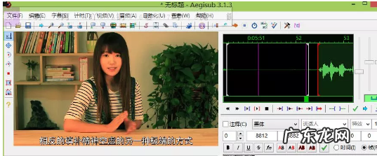 短视频字幕制作软件推荐，如何使用？