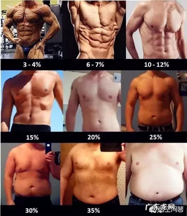 175CM 85kg 胖人的人健身直接增肌还是先减脂再增肌