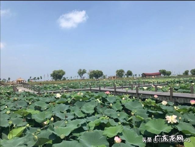 淮南市哪里有适合小孩玩的地方 淮南有什么适合小孩子玩的景点吗?