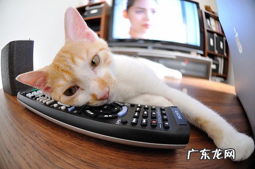 上班族如何吃健康的午餐？