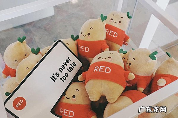 小红书购物笔记在哪里?小红书笔记有哪些优劣处?