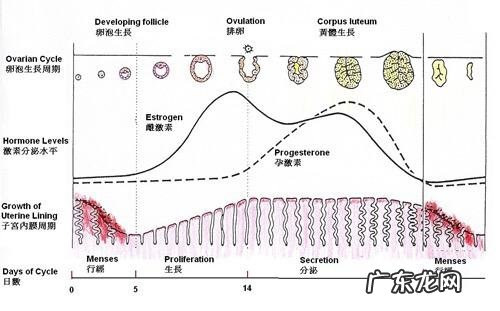 脸上总长痘痘是怎么回事,该怎么办?