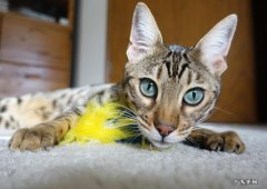 肥胖症是指脂肪储存使体重超过正常多少