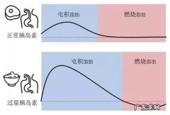 晚餐不吃主食，基本吃水果，为什么一直减不下去呢？