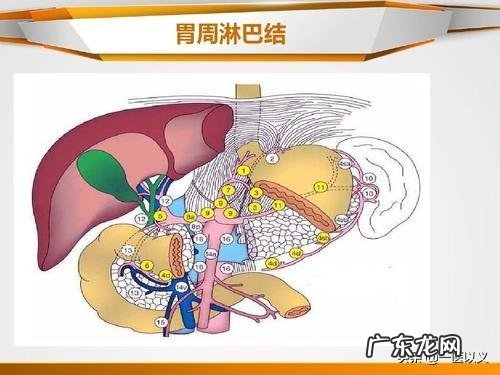 胃癌的患者是不是很消瘦呢?