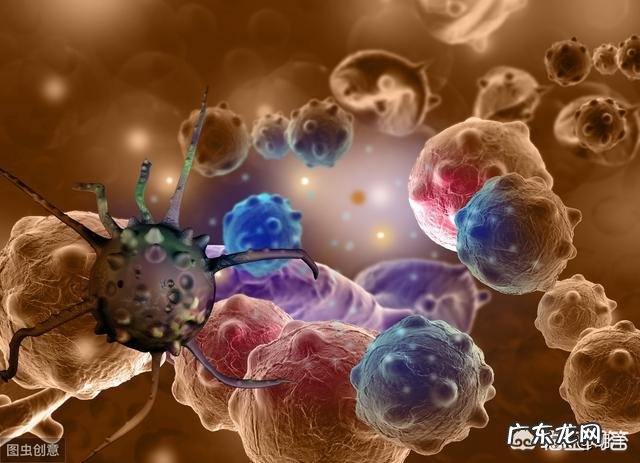 活动量大了后背肌肉疼,肋骨疼是怎么回事?跪求解答谢谢?