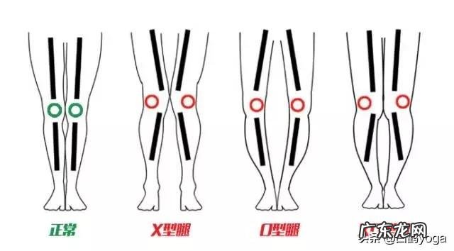 如何有效地瘦腿美腿？？