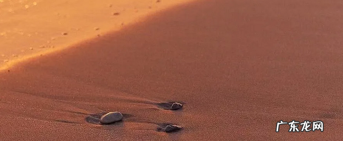 适合微信顶置温柔短句有哪些?