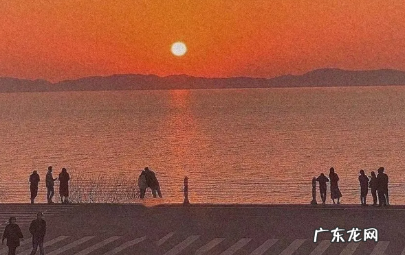 适合微信顶置温柔短句有哪些?