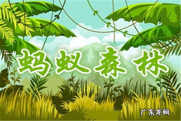 蚂蚁森林可以种什么树?有什么用?