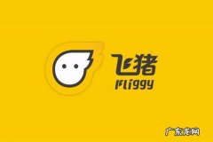 飞猪服务费年费的怎么返还？返还标准是什么？