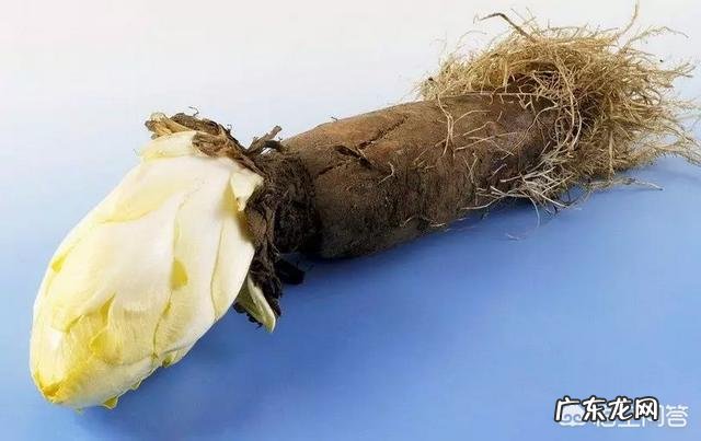 尿酸高,防并发症,要多喝水,有“3喝3不喝”,具体指什么?