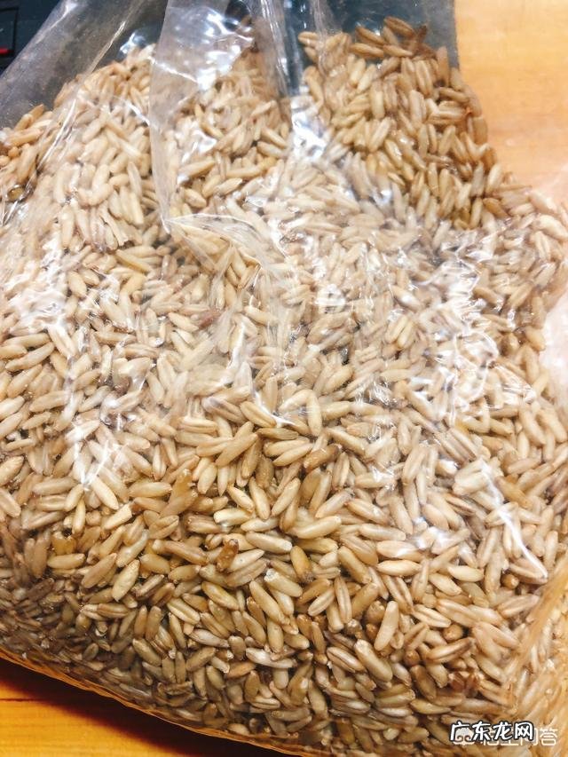 运动和节食在减肥中哪个更有效?