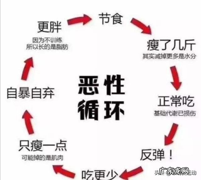 运动和节食在减肥中哪个更有效?
