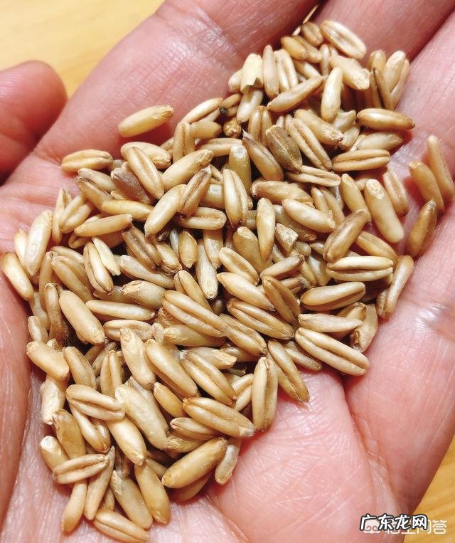 运动和节食在减肥中哪个更有效?