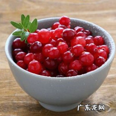 蔓越莓长在水里吗？