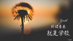 小源果蔬粉排毒减肥的效果怎么样？