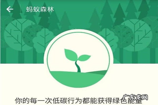 蚂蚁森林保护地有哪些?有什么用?