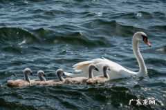 淘宝店铺名称怎么修改？修改店铺名称会有影响吗？