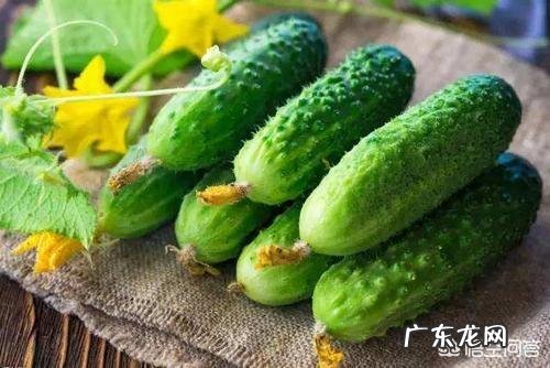 菜场上的黄瓜和西红柿能不能直接洗洗当水果一样生吃?