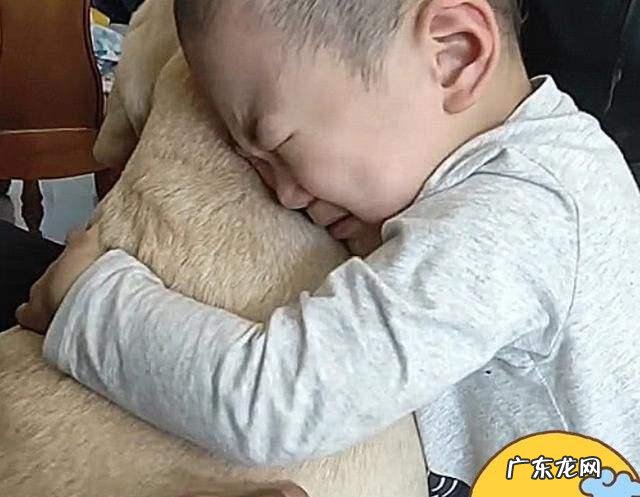 难养型气质孩子怎么带-难养型气质孩子表现