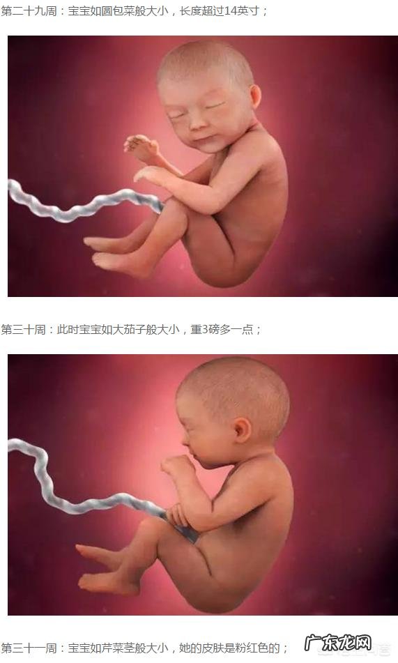 现在孕31周,照B超只有29周,问题大吗