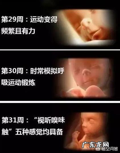 现在孕31周,照B超只有29周,问题大吗