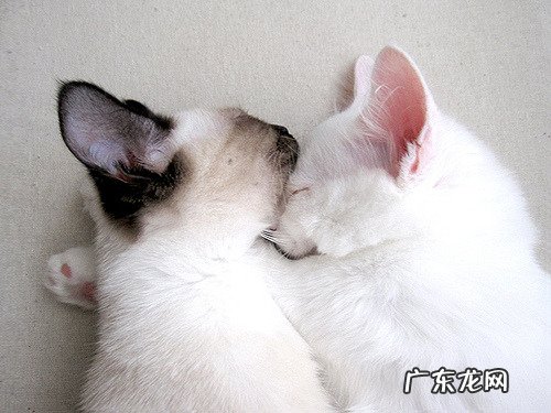 光靠节食不运动能瘦下来吗