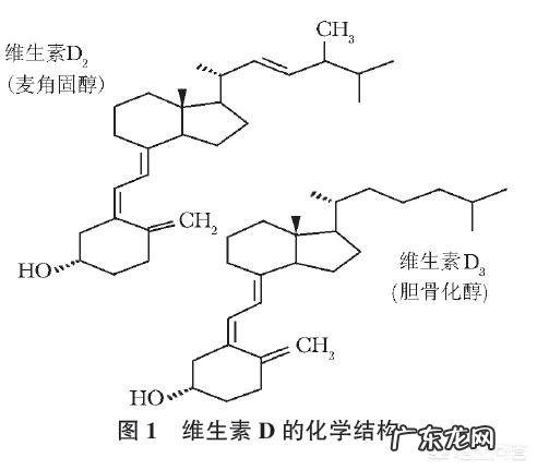 四十多岁的女人需要每天补维c吗 中年人需要补充维生素D吗?